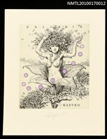 藏品(藏書票—花之少女)的圖片